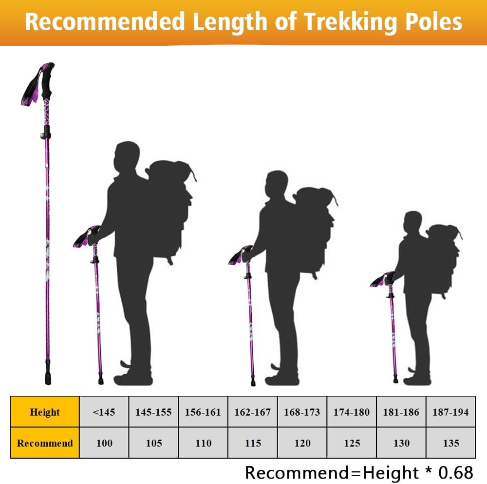 Thumbnail 6 de HOVIN Damen-Walkingstöcke faltbar (105–125 cm) – Trekkingstöcke mit Gummipuffern