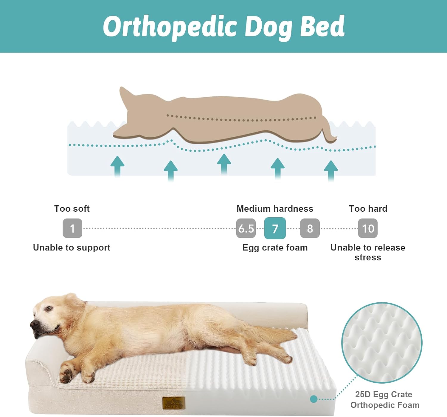 Detalle de COZY KISS Orthopädisches Hundebett – L-Form, 36x27x6,5 Zoll, Beige