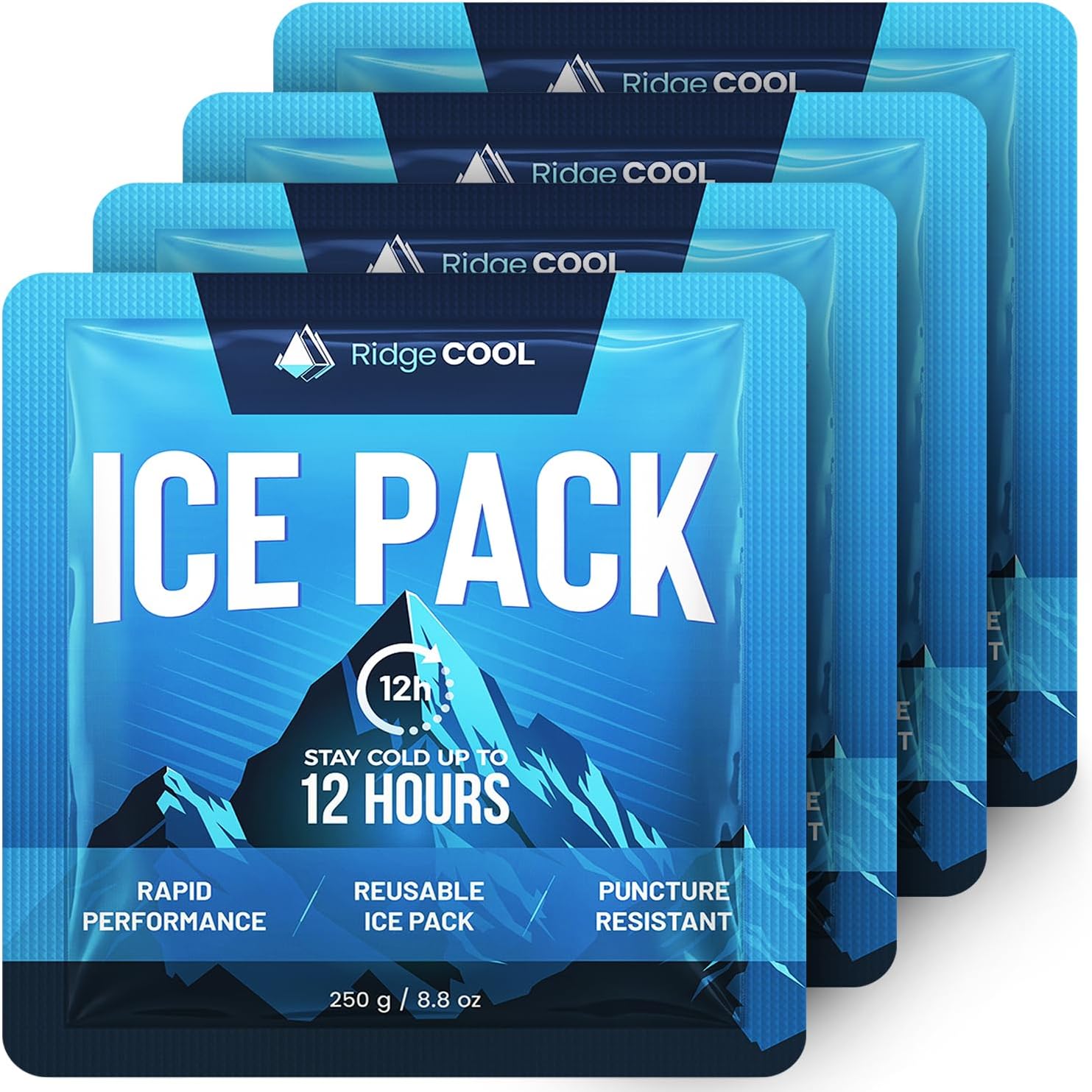 Thumbnail 6 de RIDGECOOL Reusable Cooler Ice Packs, 4-Pack, Large 9.8 x 8.6-Inch Size