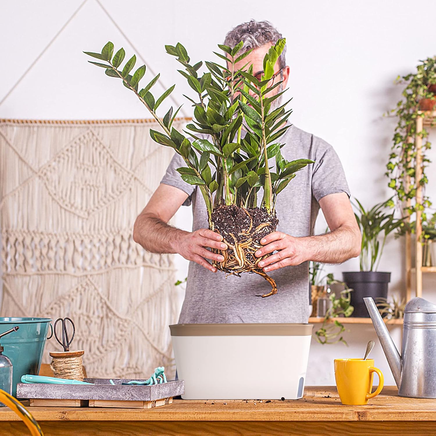 Thumbnail 1 de T4u Kräuter-Kasten 27 cm im 3er-Set