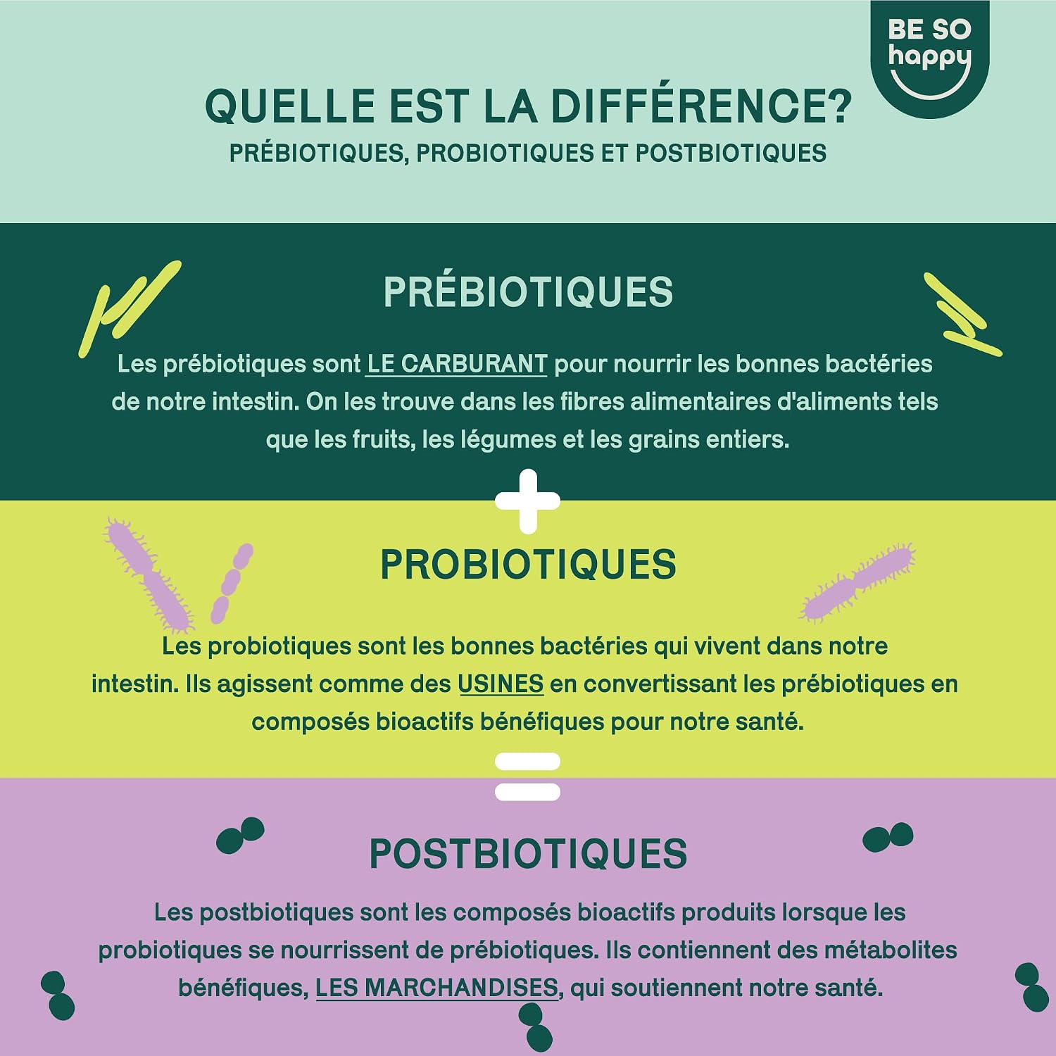 Detalle 2 de Prébiotiques et Postbiotiques Intestinaux – 60 Gummies vegan, sans gluten et sans lactose