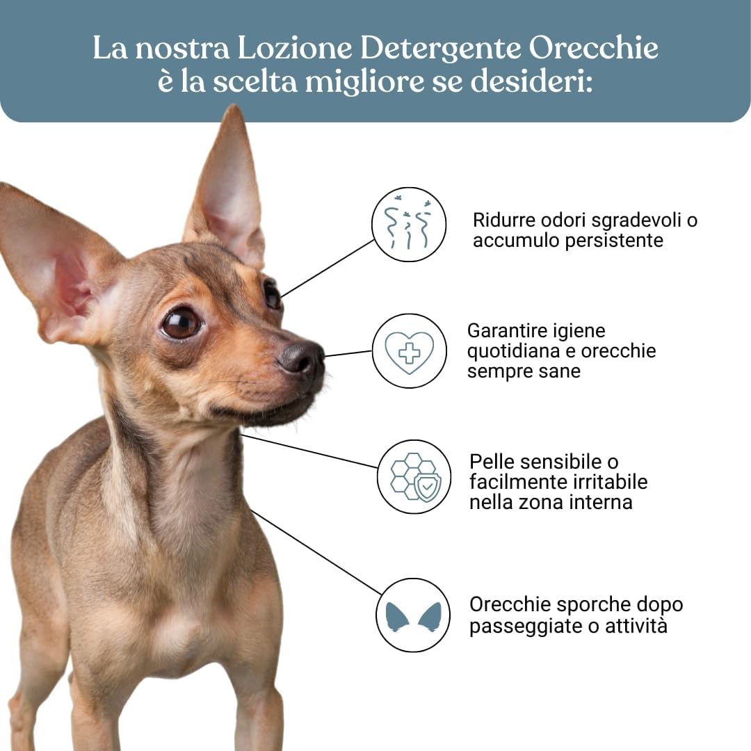 Detalle de Bau Pulizia Orecchie Cane Delicata con Aloe Vera, Camomilla e Calendula – Detergente per Orecchie