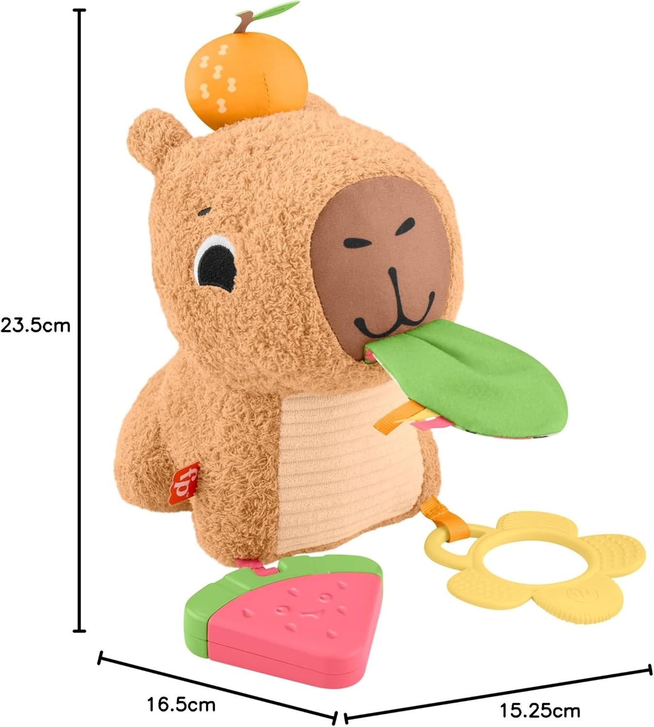 Thumbnail 6 de Fisher-Price Marmotta Coccole e Merenda: peluche sensoriale per neonati (HYR54)