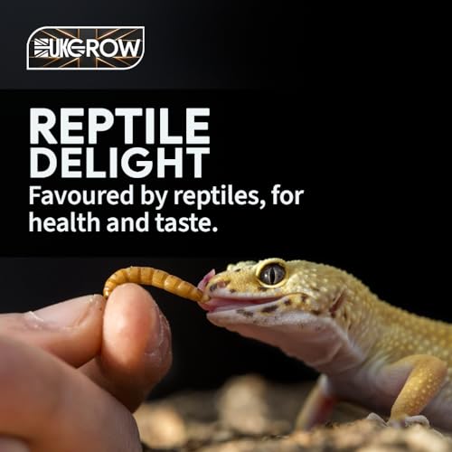 Thumbnail 6 de UKGROW 10L Premium value Dried Mealworms for birds (10L) by Invigortex
