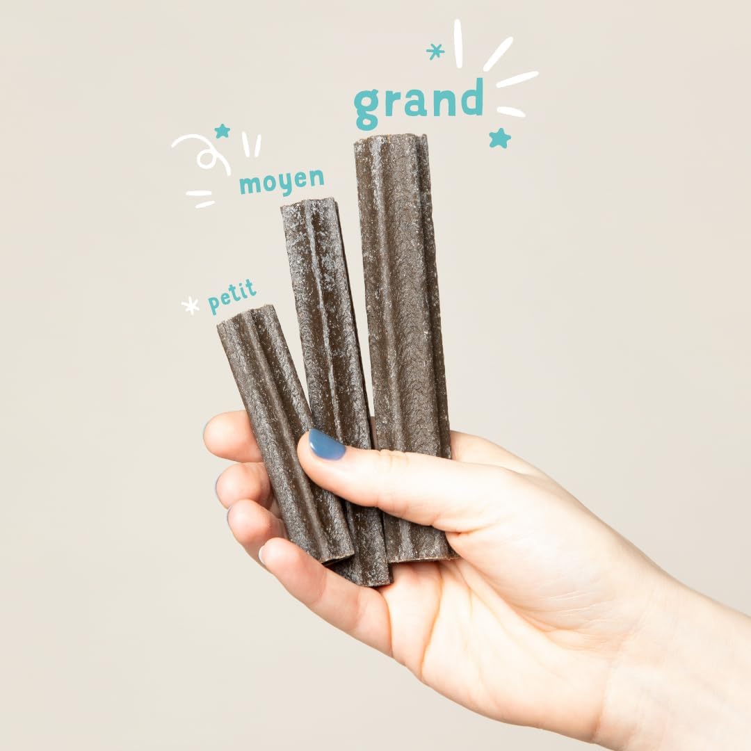 Detalle de Edgard Cooper Friandises pour Chien — Sticks dentaires Eucalyptus & Pomme (56 sticks, 40 kcal chacun)