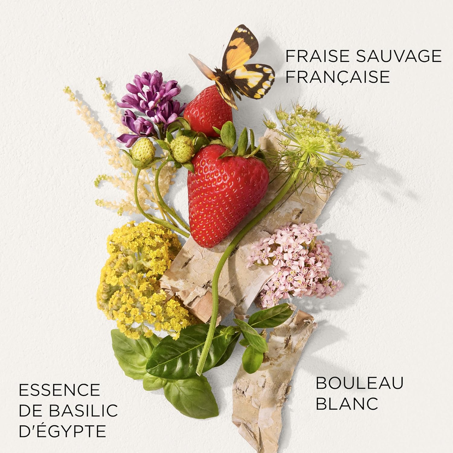 Detalle de Elizabeth Arden Parfum Femme Green Tea Strawberry Basil – Eau de Toilette fraîche et fruitée