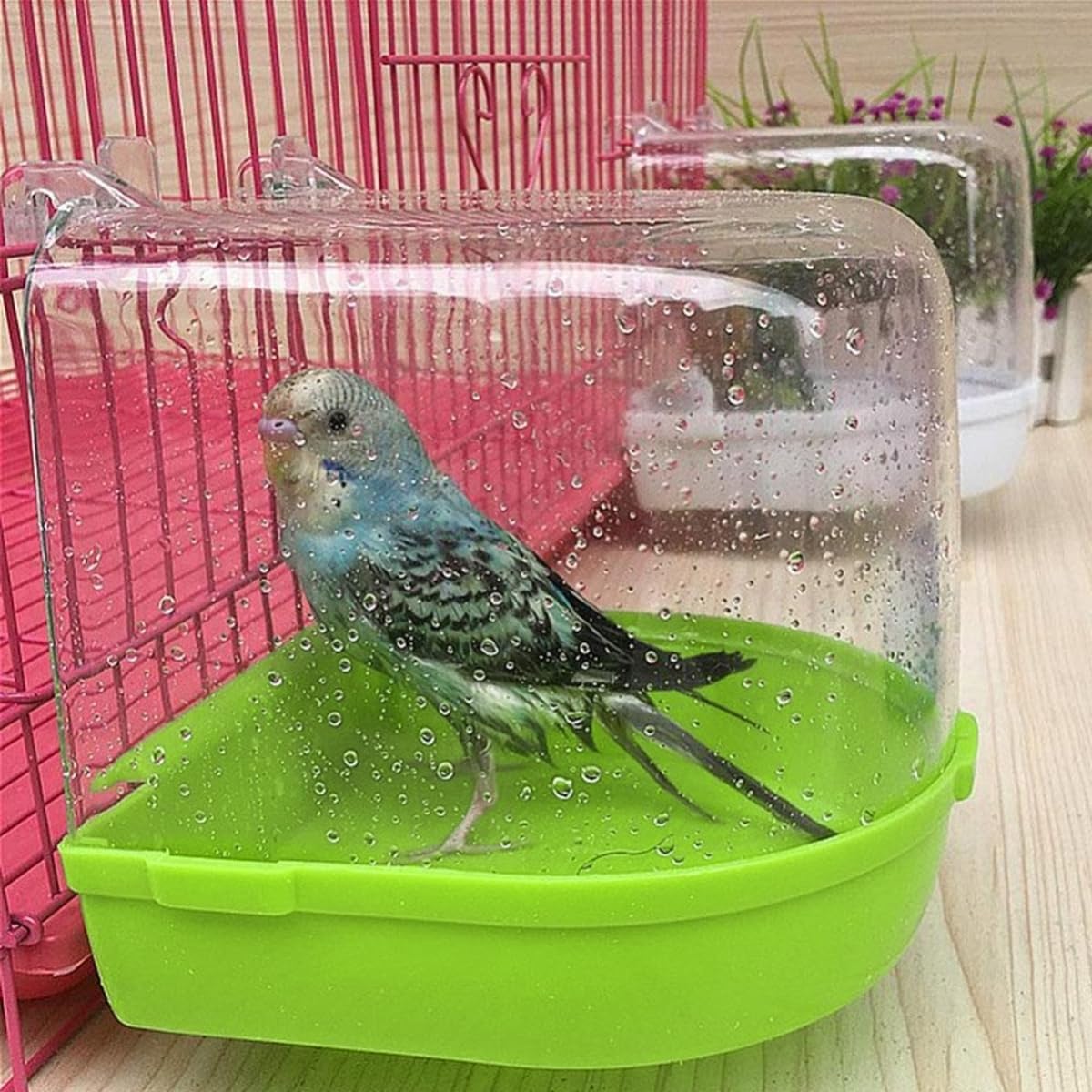 ULTECHNOVO Parrot Cage Bath for Budgies 🐦