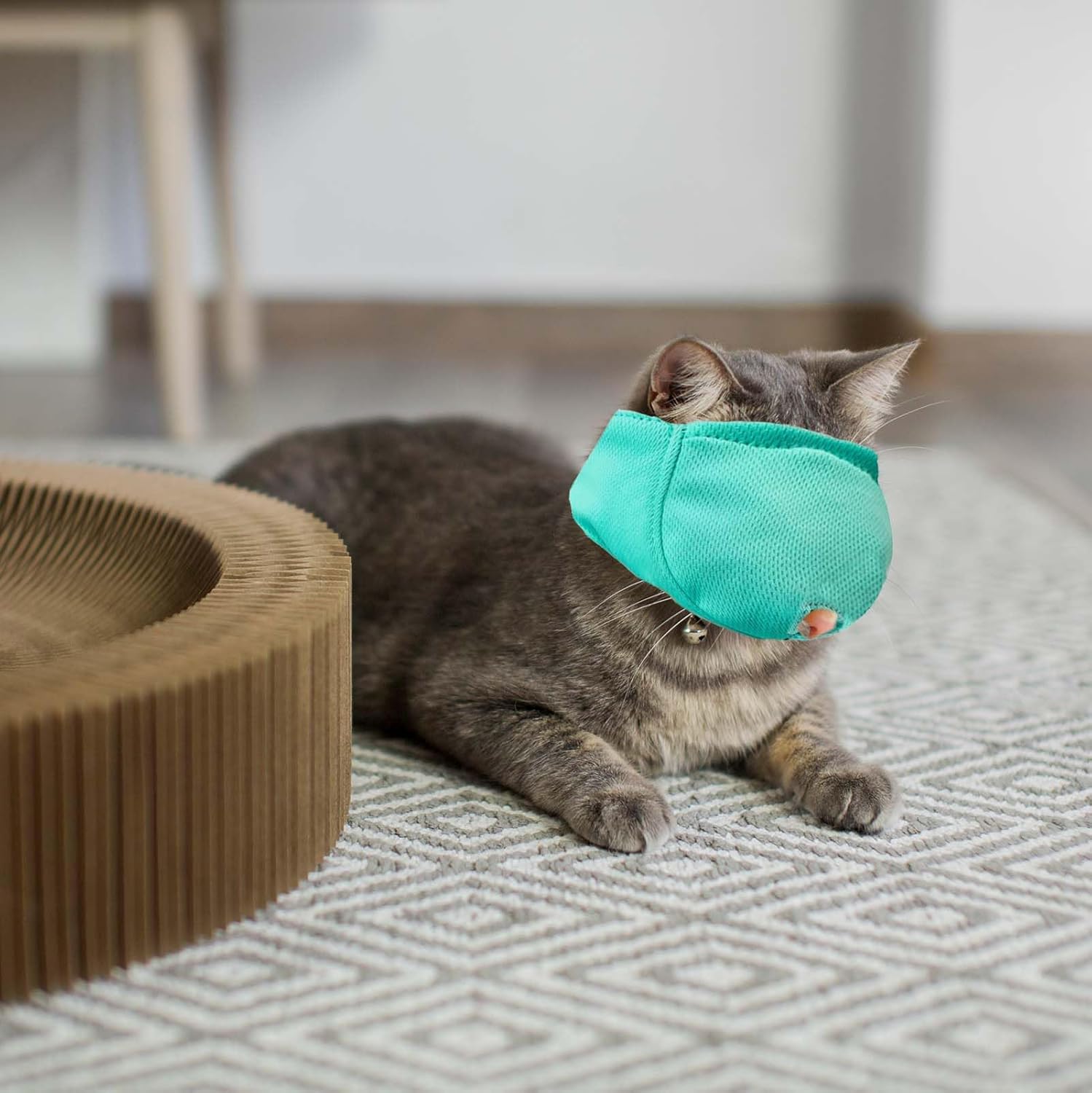 Thumbnail 6 de OHCOZZY Cat Muzzle with Breathable Mesh (M, Green) for Preventing Biting and Chewing