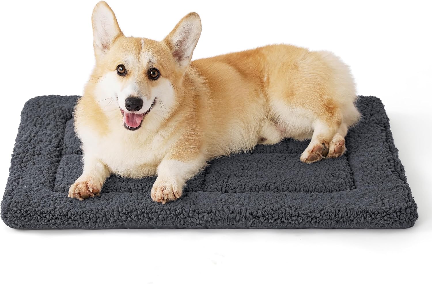 Thumbnail 4 de Bedsure Hundematte 89x56 cm