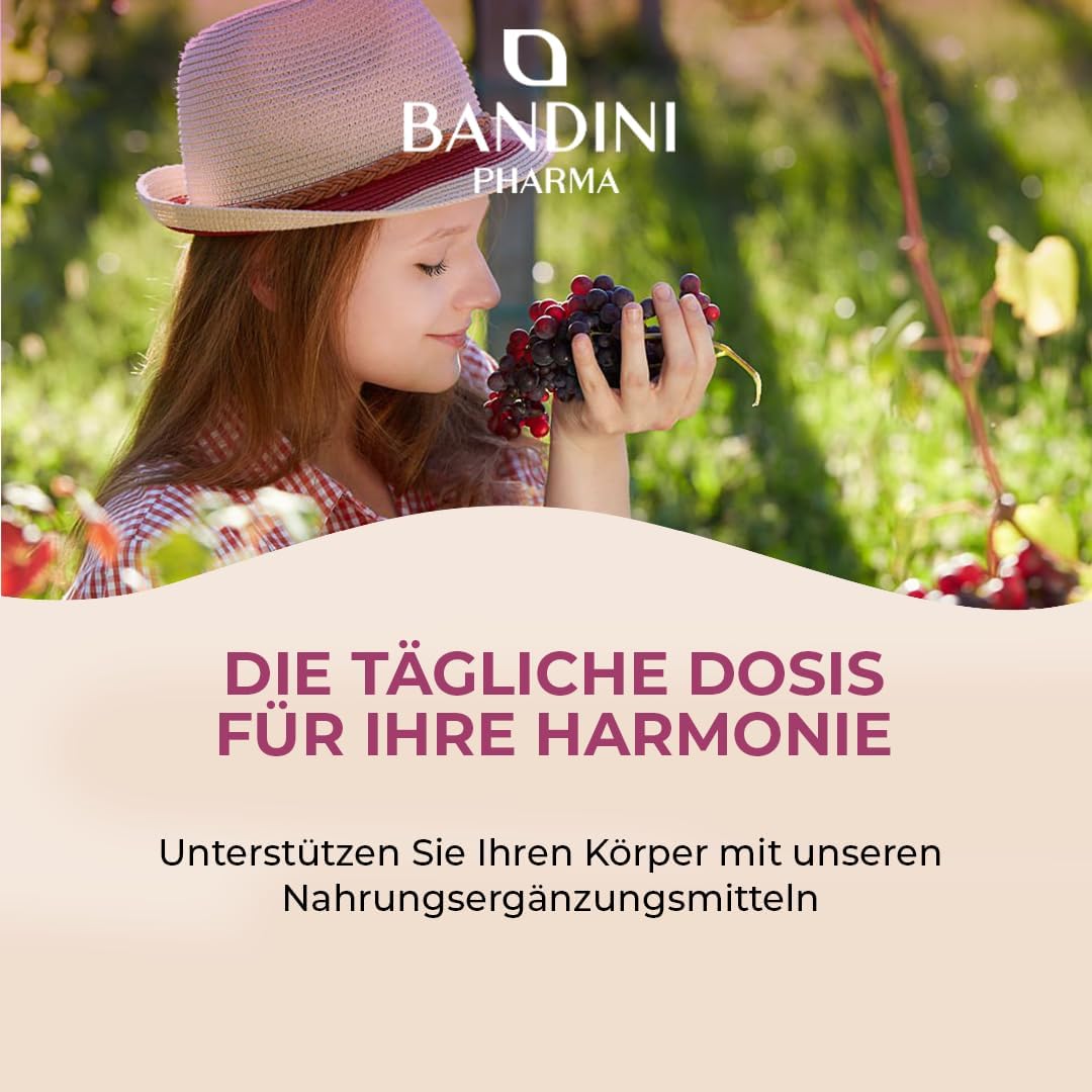 Thumbnail 6 de Bandini OPC Traubenkernextrakt 365 Kapseln mit 1076 mg Dosierung 💊
