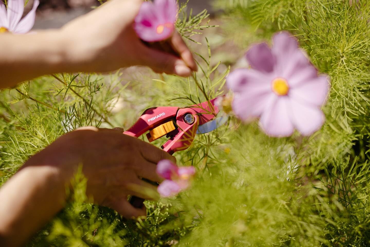 Detalle de Fiskars Bypass-Gartenschere 20 cm – Antihaft, Karbonstahl, pink/orange (Modell P26, 1003657)