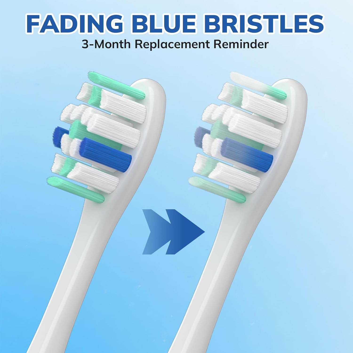 Thumbnail 4 de SEPORUD US-216W-Toothbrush heads-8P Replacement Toothbrush Heads, 8-Pack