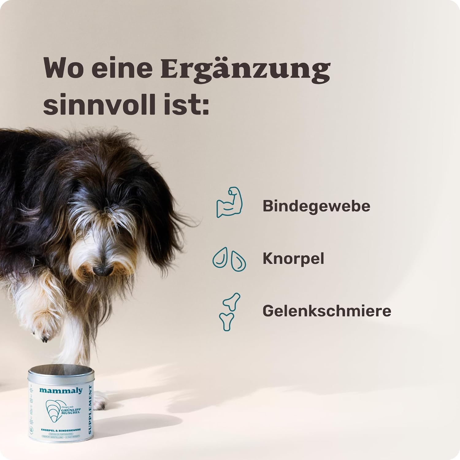 Detalle de Grünlippmuschel Gelenk-Snacks für Hunde von mammaly – ca. 200 Leckerlis (340 g)