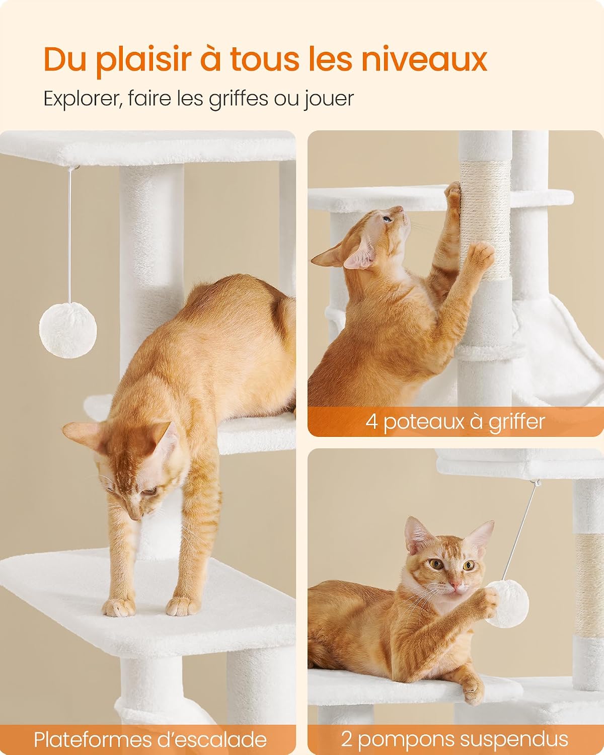 Thumbnail 5 de Feandrea PCT161T01 Arbre à chat 143 cm