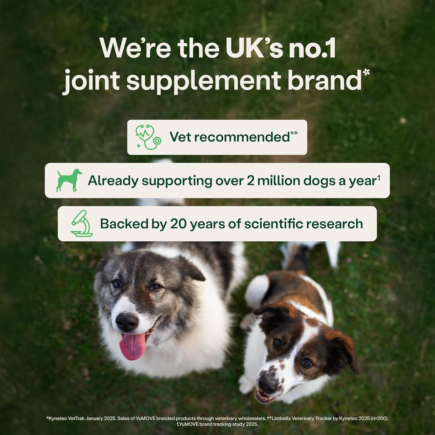 Detalle de YuMOVE Senior Dog Joint Supplement – Daily Bites for Joint Care (60 Chews) for Dogs 8+