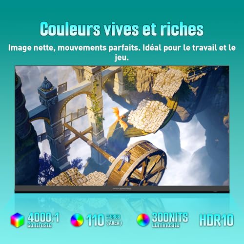 Detalle de Minifire Écran PC Gamer 24 Pouces – 200 Hz, 1 ms, FreeSync, FHD, sans bordure (MFG24F4H)