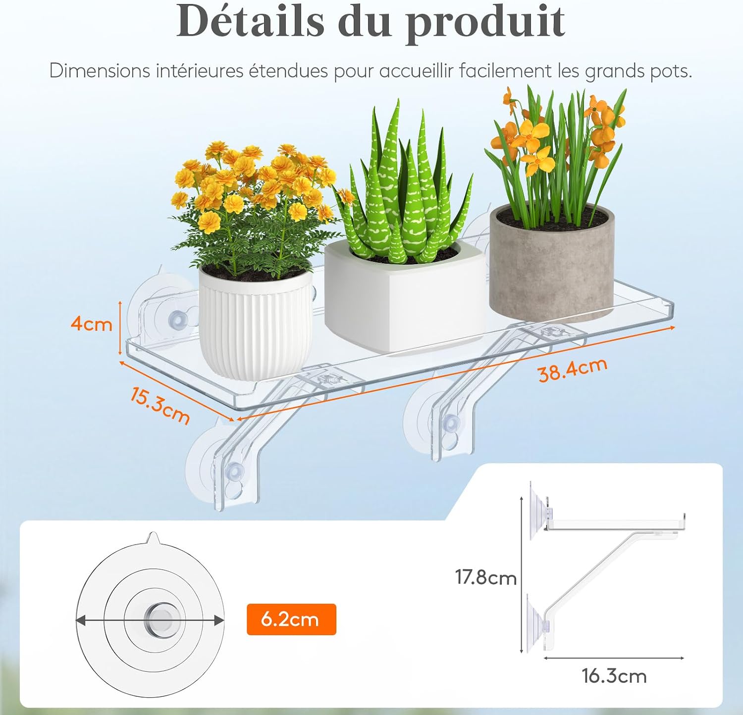 Detalle de Lifewit 25075 plantenplanken voor vensterbank, set van 2 met zuignappen