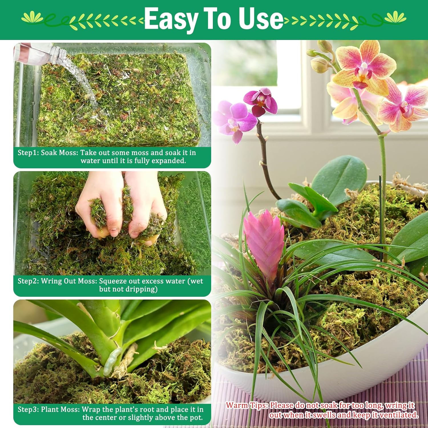 Thumbnail 3 de Riare 1.3kg Natural Dried Plant Moss (Sphagnum) for Repotting, Succulents, Aquariums & DIY