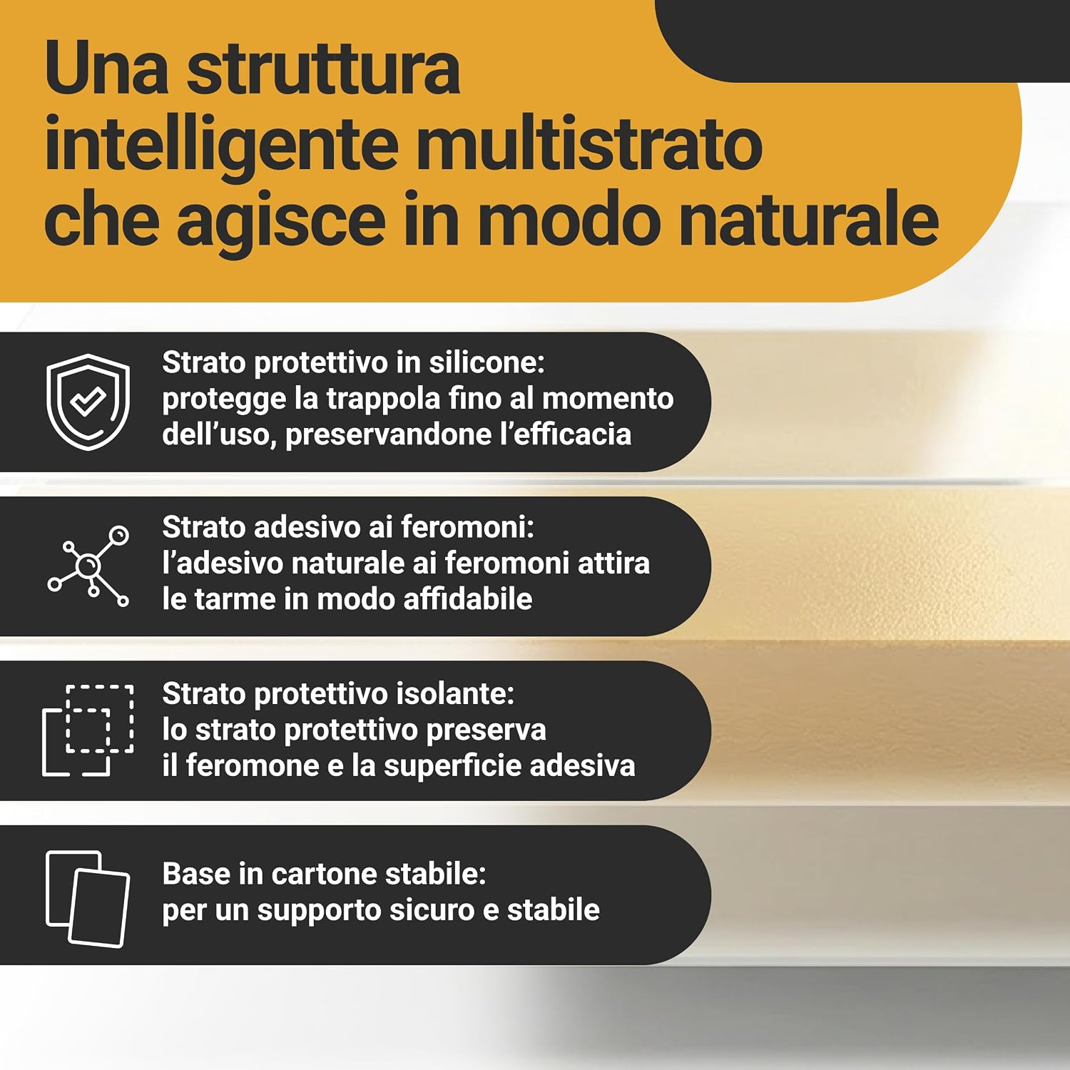 Thumbnail 6 de Proxinova Antitarme per Armadi Vestiti – Trappole Adesive per Monitoraggio Discreto (8 fogli, 3 mesi) – Biocide Free