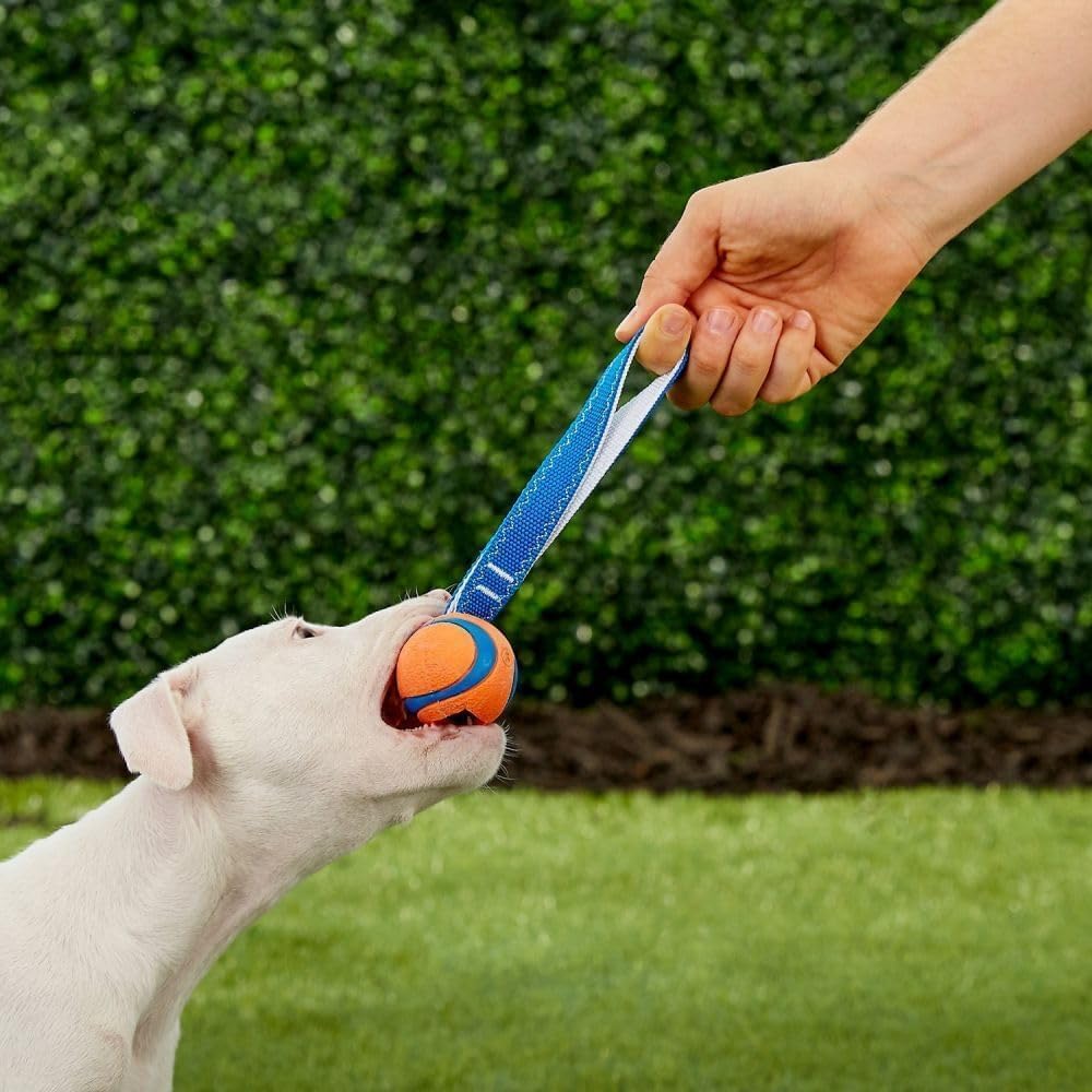 Detalle de Chuckit! Ultra Tug Dog Toy – Small 4.8 cm Rubber Tug & Fetch Toy (Pack of 1)