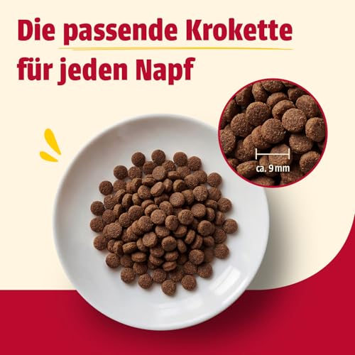Detalle de Animonda Carny Adult Katzen Trockenfutter Huhn und Rind – Ausgewogene Ernährung für erwachsene Katzen