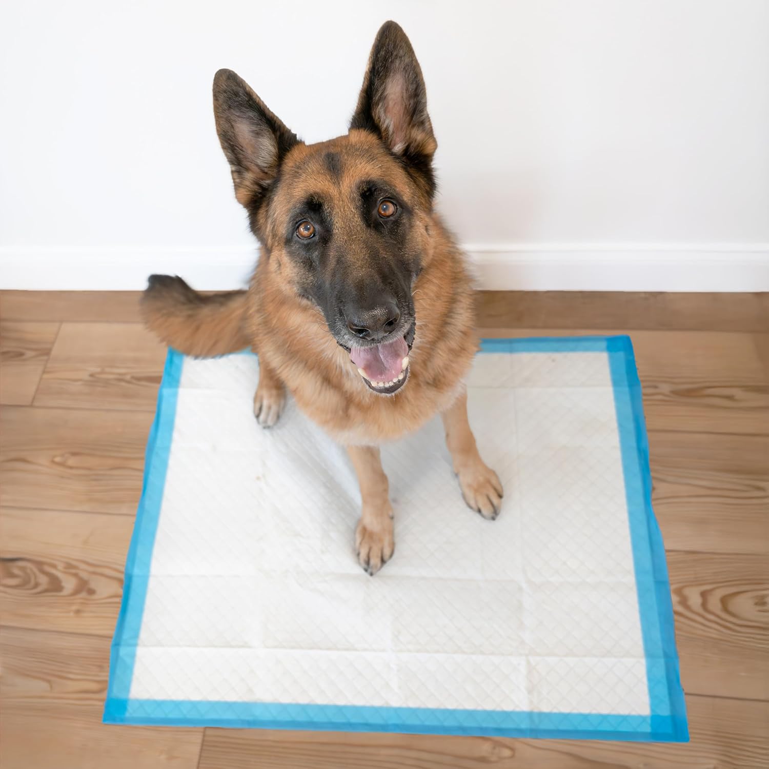Detalle 2 de Four Paws Wee-Wee Superior Performance Pee Pads (28 x 34 in) with Runoff Barrier Edge Guard, 75 Count