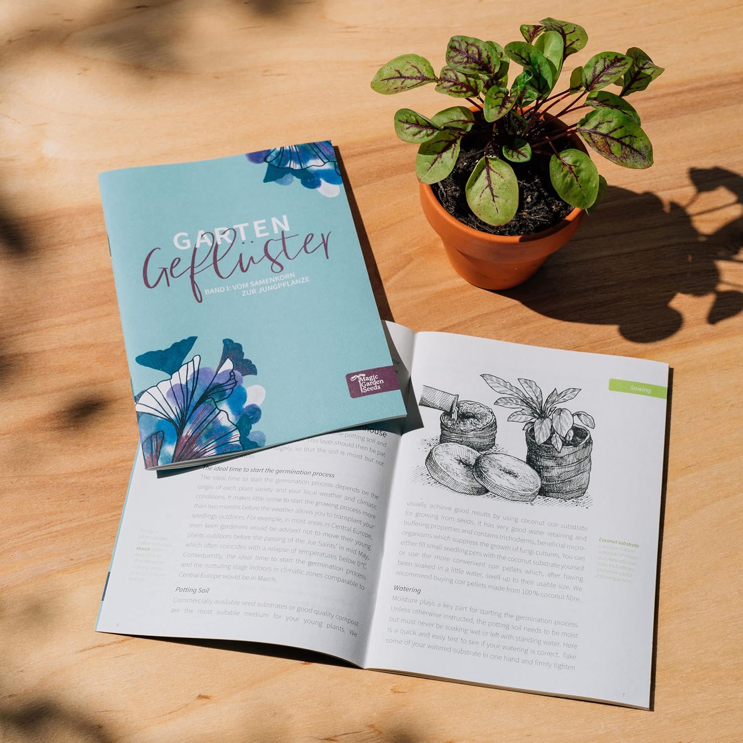 Detalle de Getreide-Sortiment – Samen-Geschenkset mit 3 alten Getreidearten