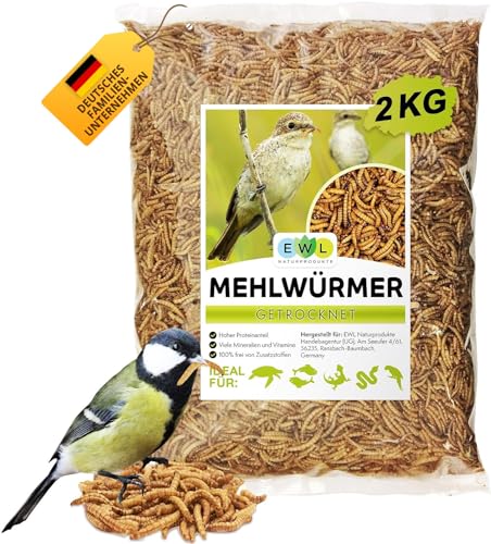 EWL Getrocknete Mehlwürmer 2kg (13L) – Natürliches Vogelfutter & Wildvogelfutter von EWL Naturprodukte