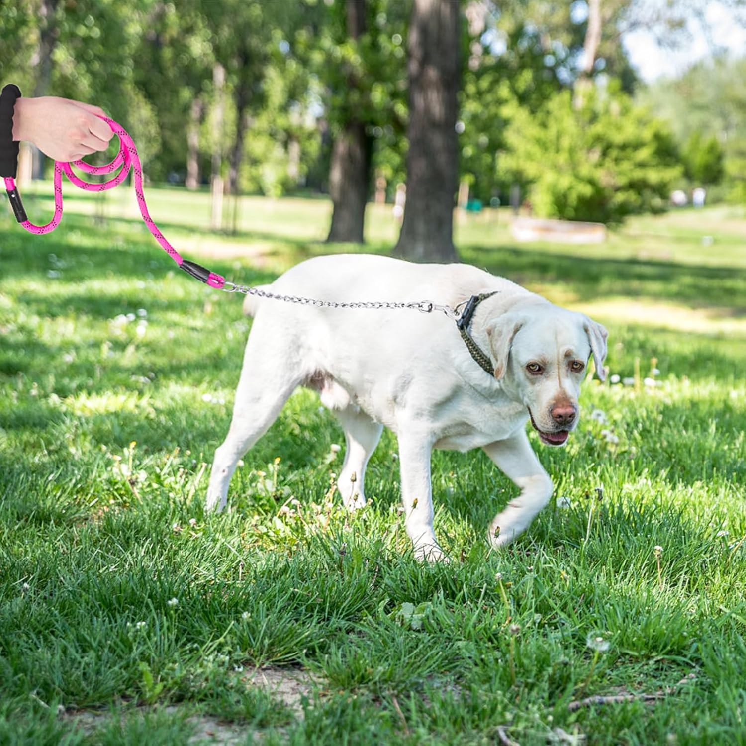 Thumbnail 6 de Homimp Chain Dog Leash for Medium to Large Dogs (6 ft) – Reflective, Heavy‑Duty, Chew‑Proof