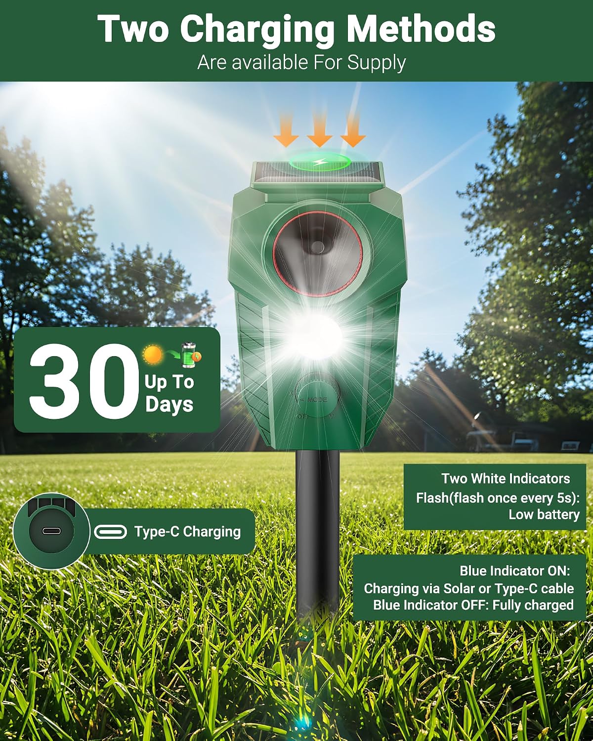 Detalle 2 de G-Jyuncyou Solar Animal Repellent Green