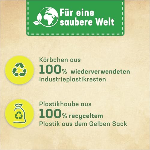 Thumbnail 6 de WC Frisch Kraft Aktiv Duftspüler Minze & Eukalyptus (10er Pack) – Pro Nature
