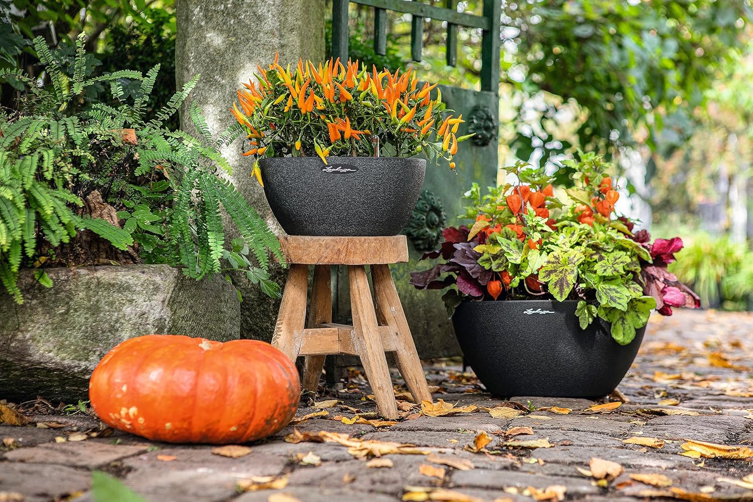 Thumbnail 5 de Lechuza CUBETO Color 30 Komplettset graphitschwarz