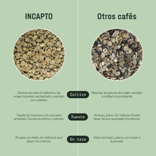 Thumbnail 7 de Incapto Café en Grano de Especialidad 1 kg — Origen Colombia, 100% Arábica, Tueste Natural y Artesanal