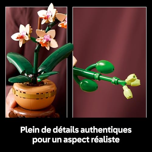 Detalle de LEGO Botanicals L’Orchidée Miniature — Plante Artificielle en Pot Terracotta (10343)