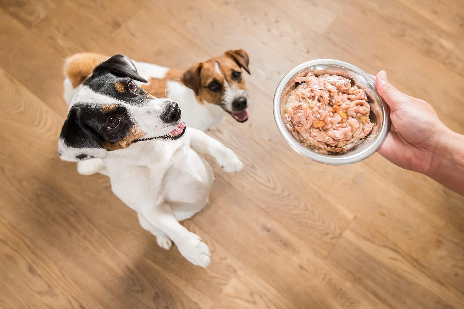 Detalle 2 de Schesir Pollo con Agnello 4x85g alimento húmedo para perros