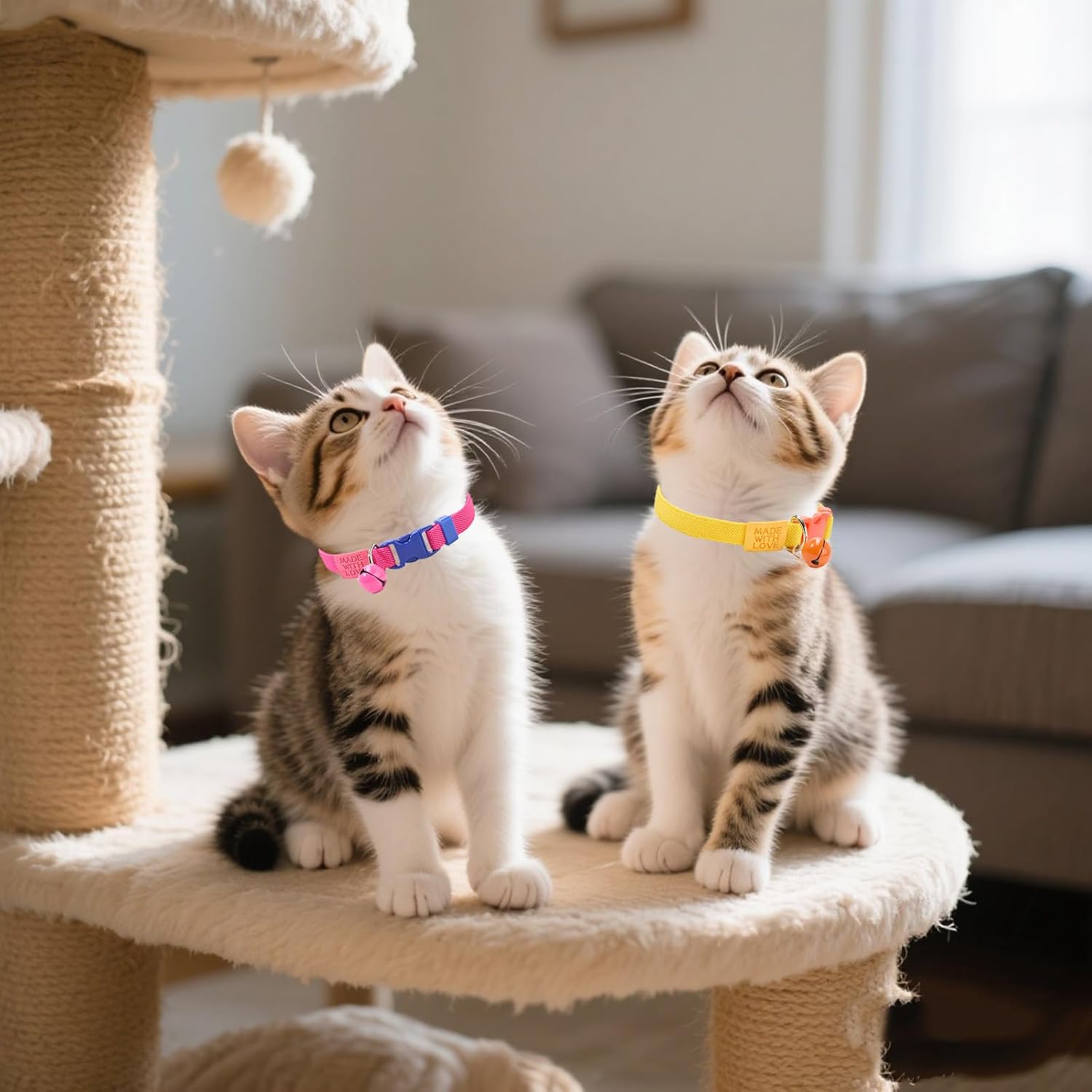 Thumbnail 5 de Petiry Elastic Cat Collar 2-Pack