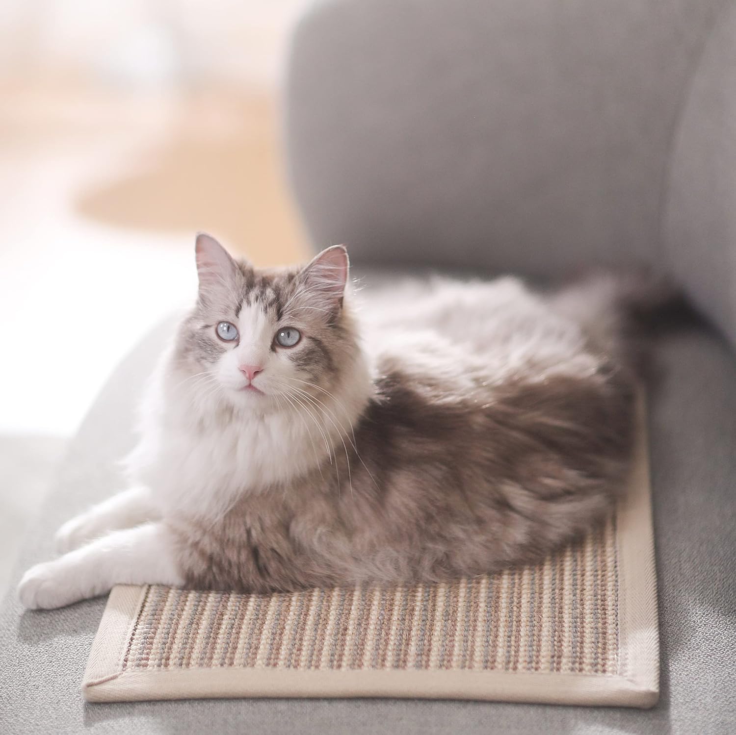Detalle de FUKUMARU cat scratcher mat 40 x 60 cm
