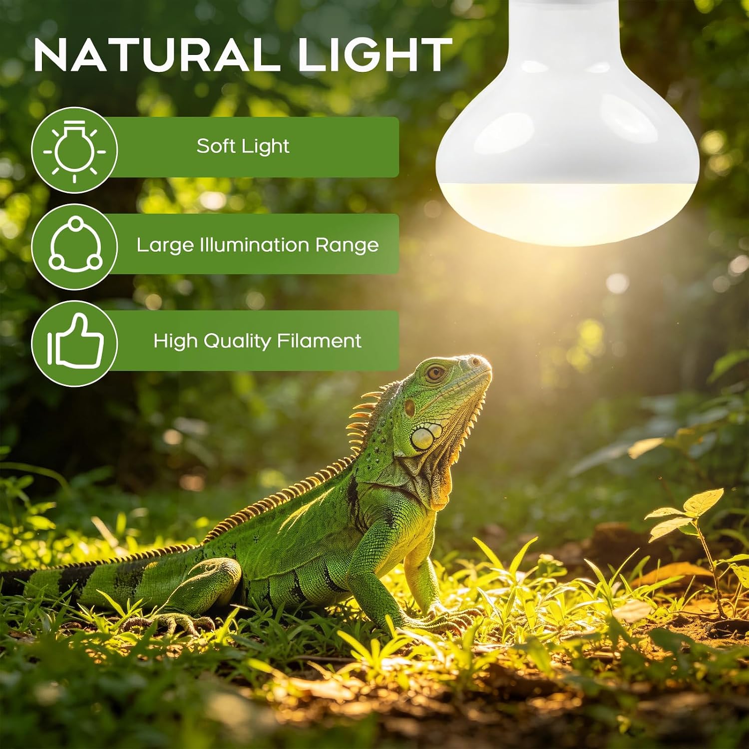 Thumbnail 5 de Houbobo 2 Pack Reptile Heat Lamp Bulbs, 100W – E27 Base for Terrarium Basking