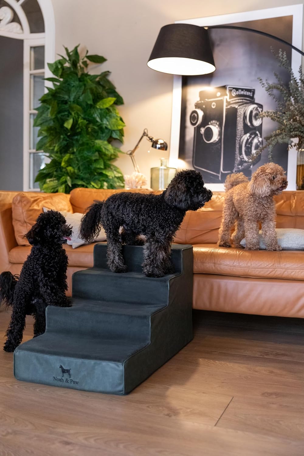Thumbnail 2 de Noah & Paw Dog Stairs Leather Collection: 17" Extra-Wide 4-Step Dog Ramp for High Beds