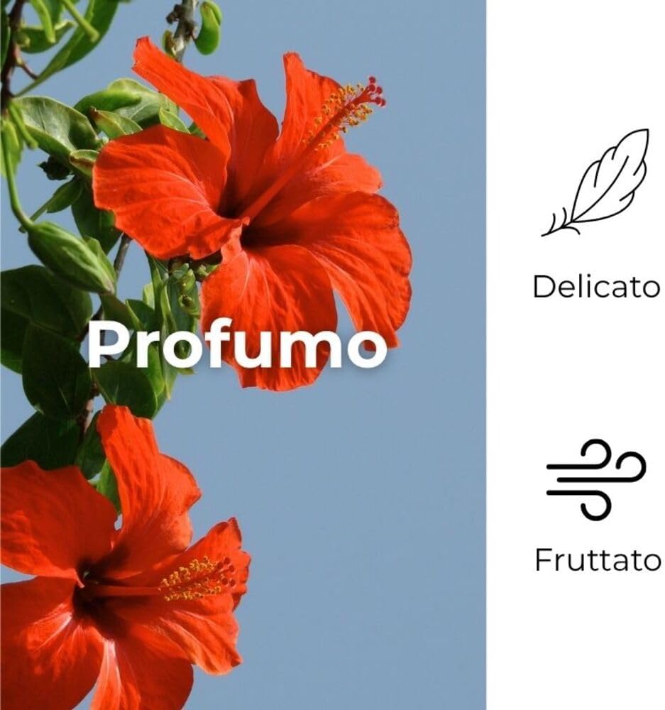 Detalle de Bottega Verde SOL Ibisco Argan Crema Solare Corpo SPF 20 (200 ml) – Protezione media, idrata e valorizza l’abbronzatura