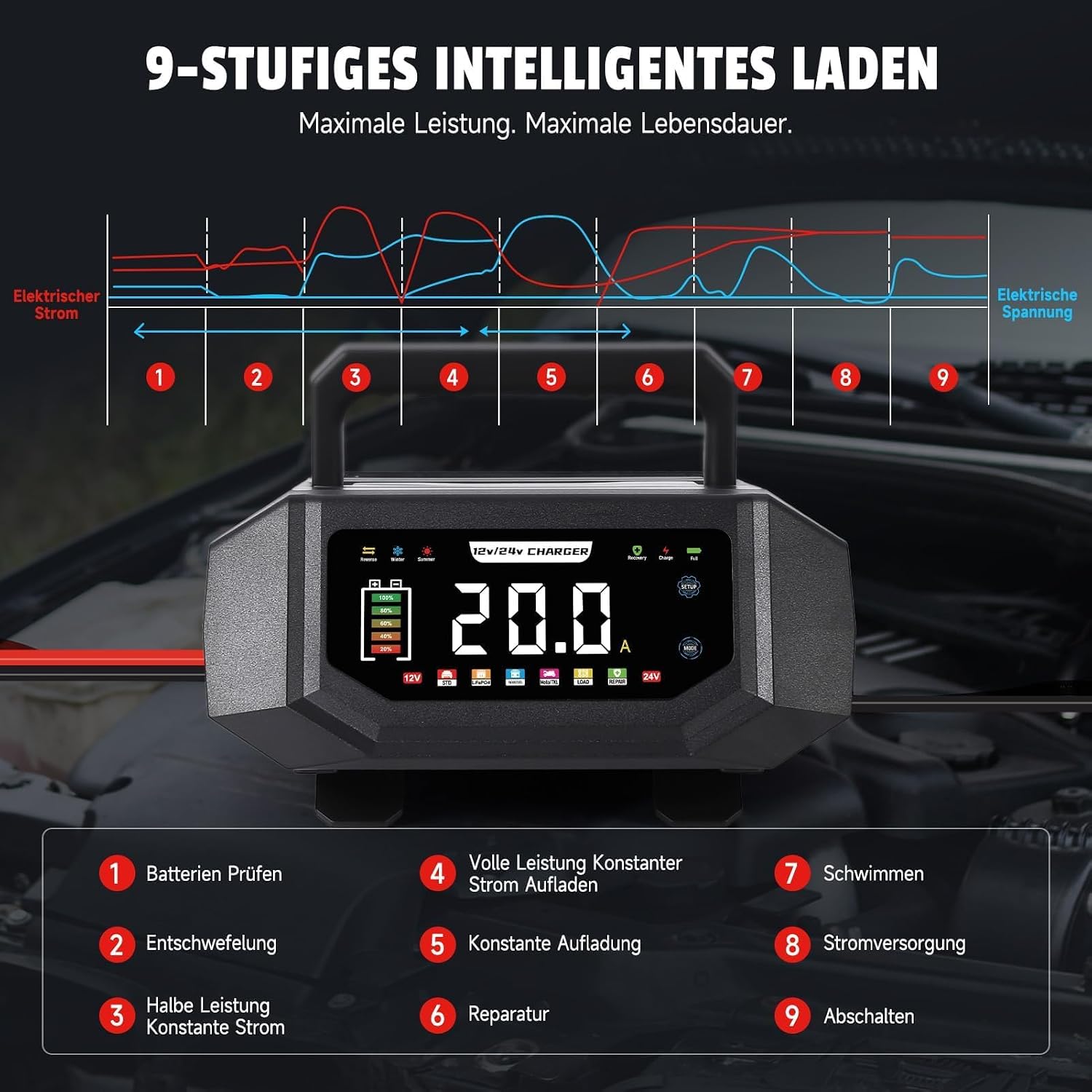 Detalle de HAUSPROFI Ladegerät 20A 12V/24V 🔌