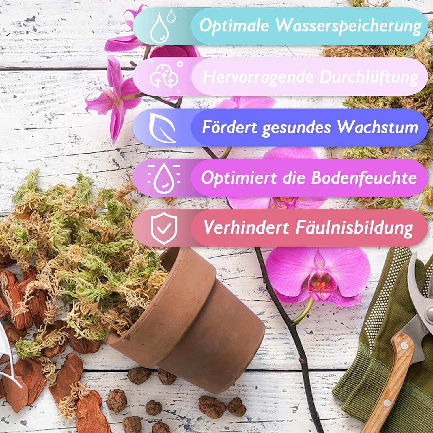 Thumbnail 4 de Halatoo Sphagnum Moos 170 g für Orchideen und Pflanzen