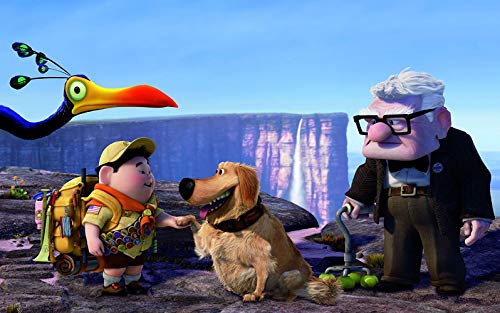 Thumbnail 2 de Divisa HV Up Disney Pixar