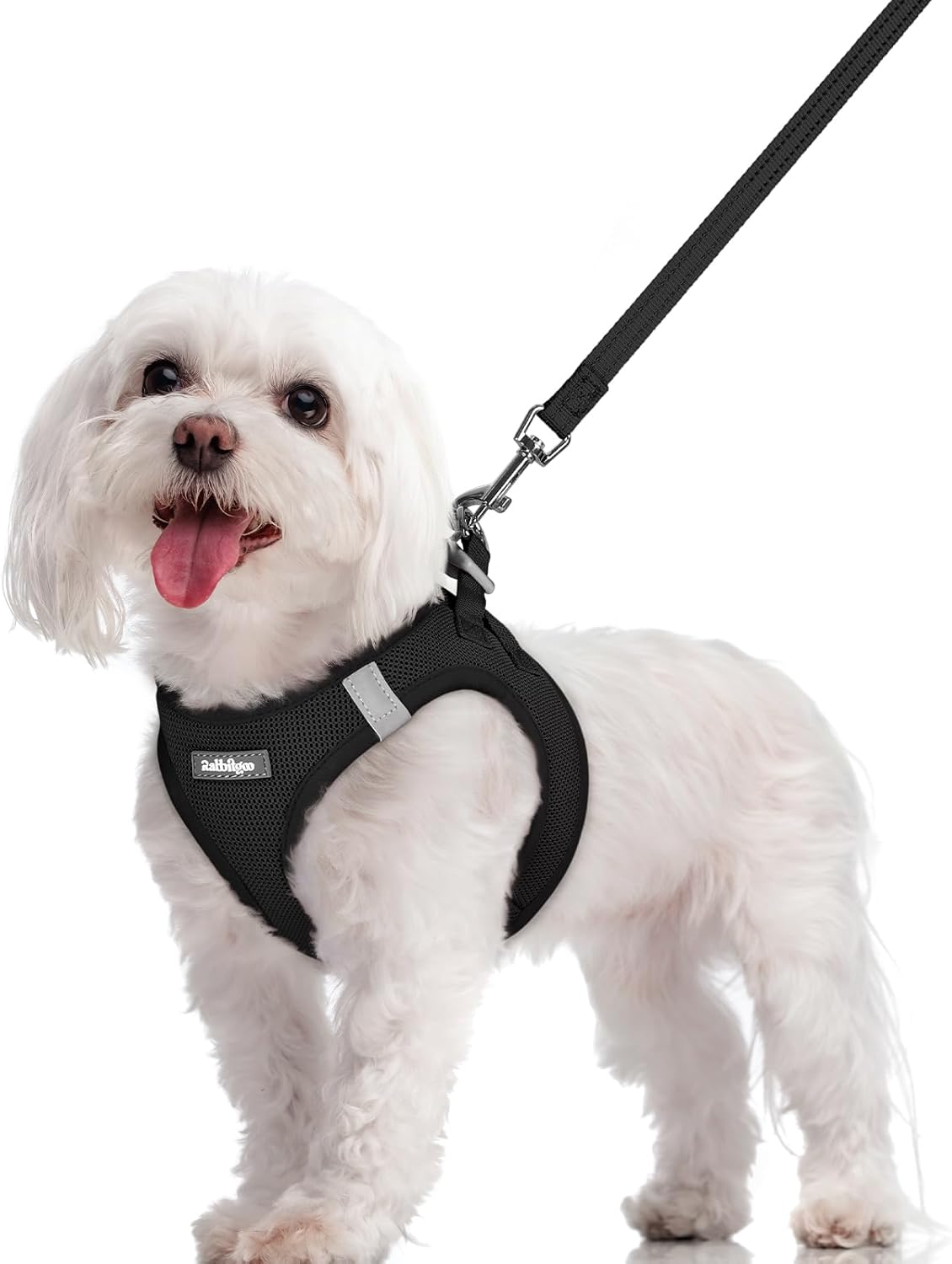 Detalle de rabbitgoo Hundegeschirr für kleine Hunde (Größe M) mit Step-in & Leine, Air-Mesh, reflektierend – Schwarz