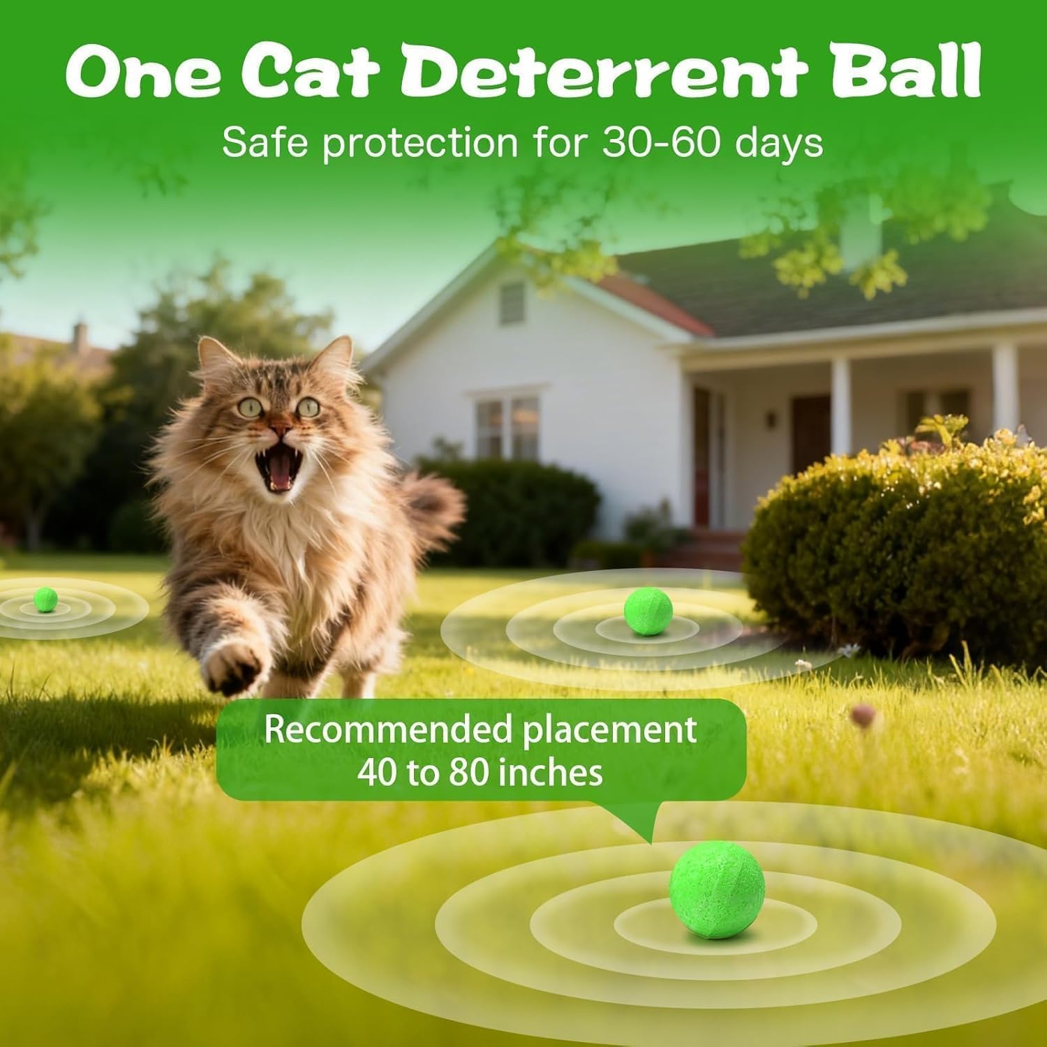 Thumbnail 6 de RIOSYE Cat Deterrent Outdoor & Indoor – 10 Ball Pack