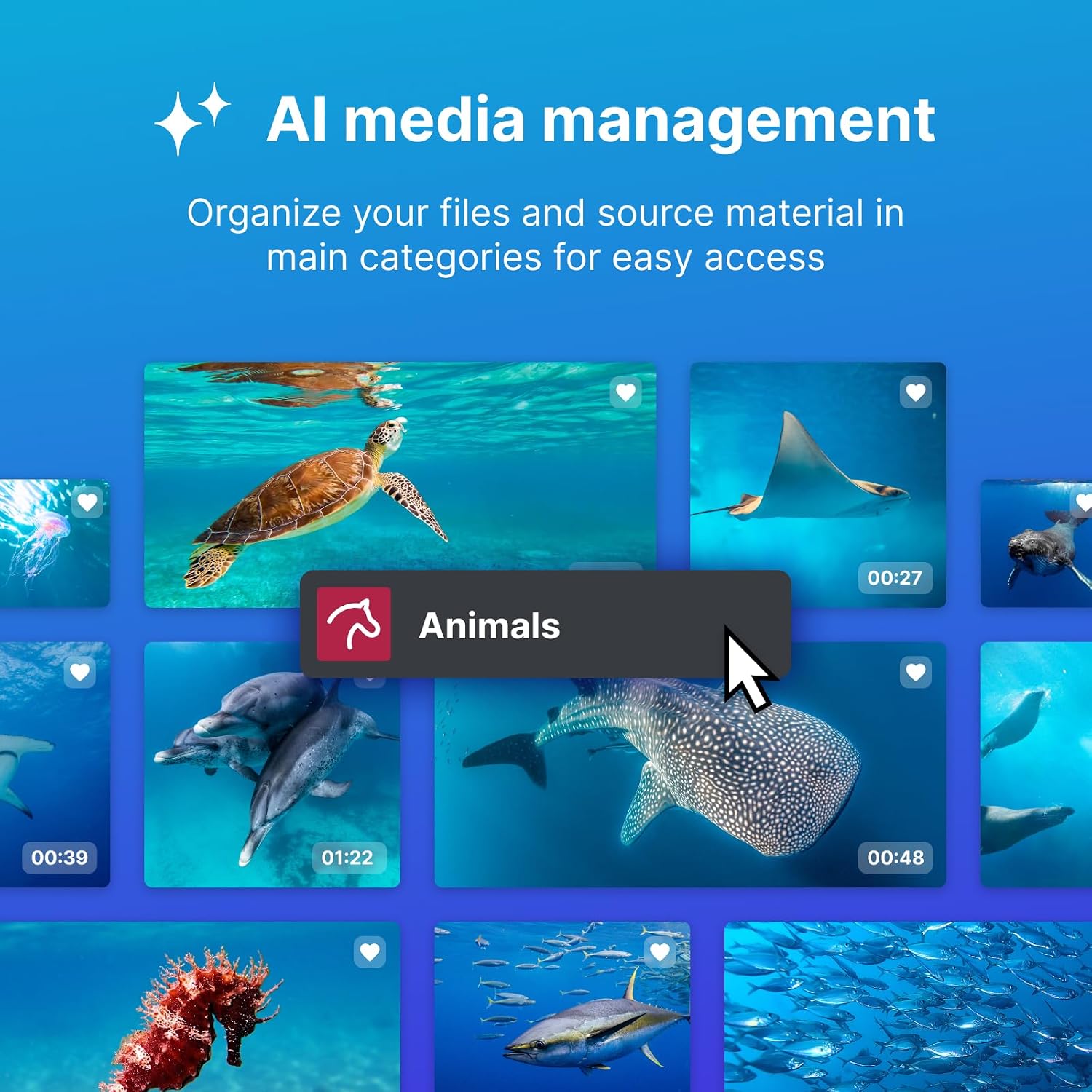 Detalle de MAGIX Video deluxe Premium 2026 – Montaggio video per tutti