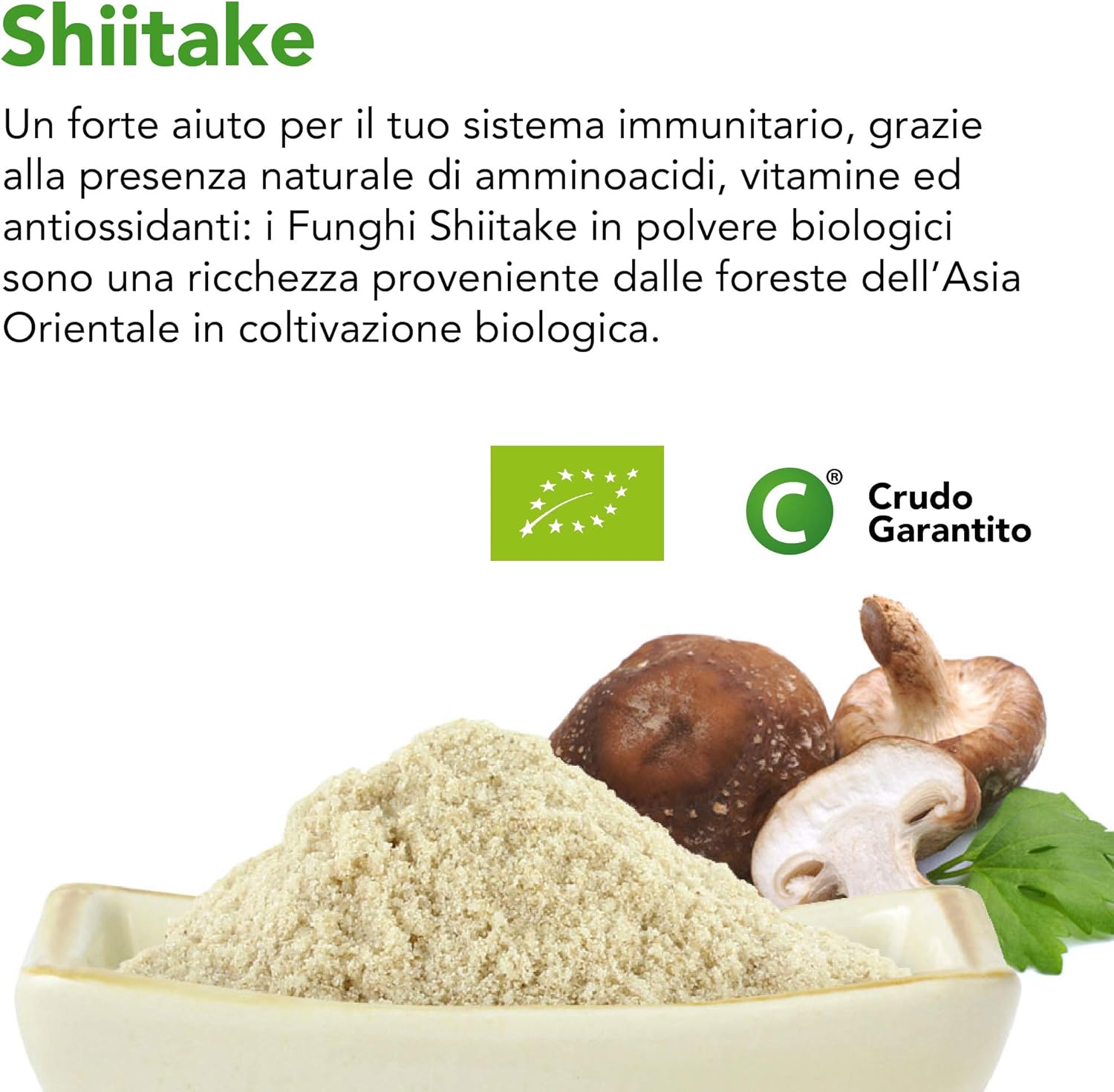 Thumbnail 2 de Fungo Shiitake in Polvere Biologica 150g (crudo, essiccato a basse temperature)