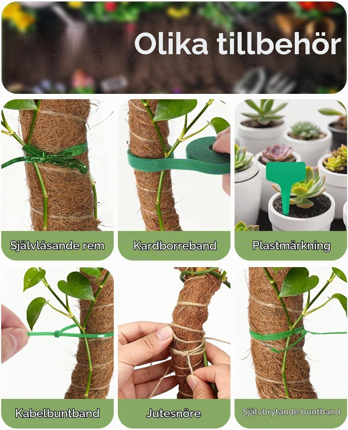 Detalle de Ouxayapl 1 klätterstöd för monstera, 2 böjbara mossstänger i kokosfiber, 60 cm