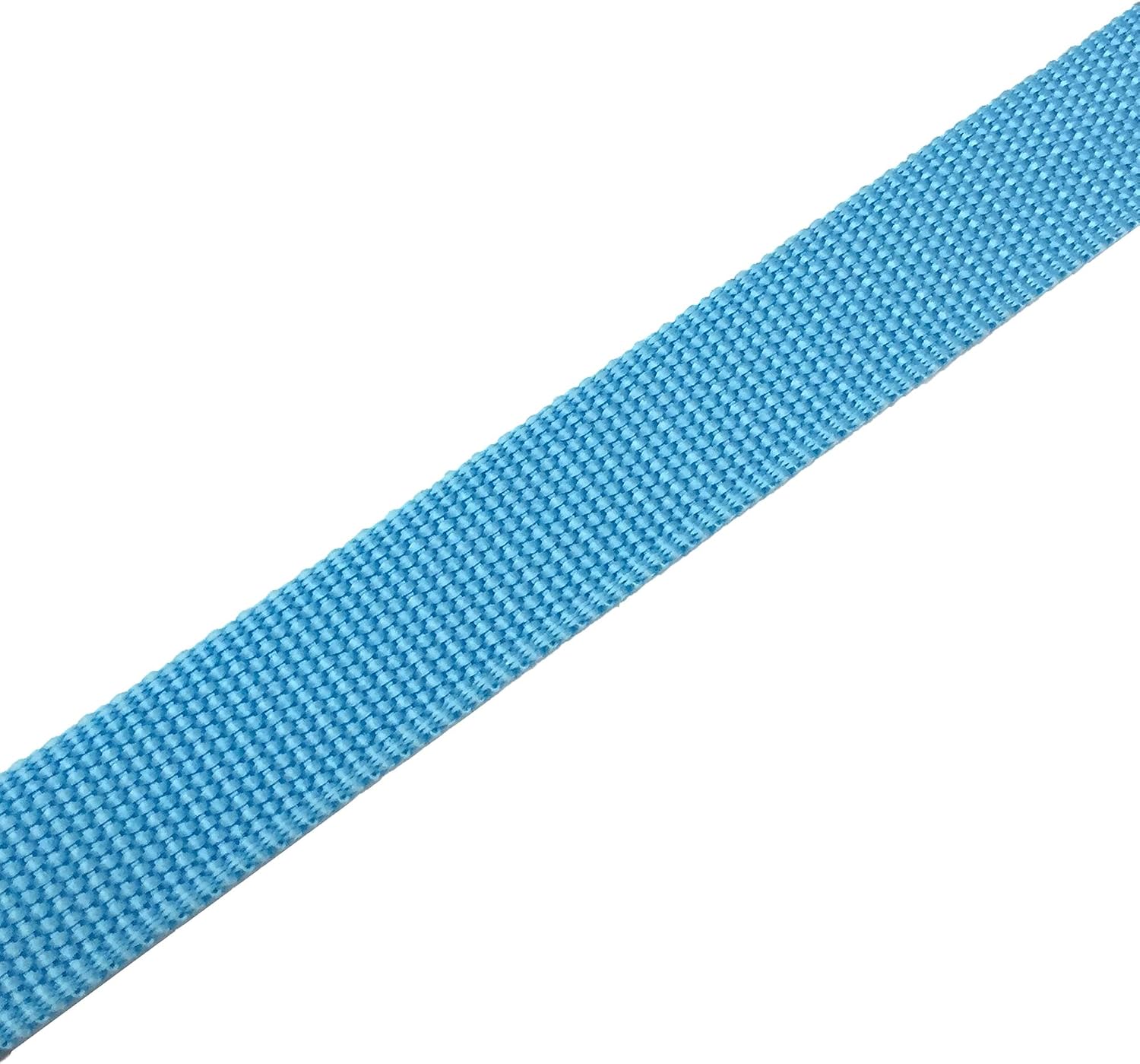 Detalle 1 de TAIAN Nylon Dog Leash, 5 ft