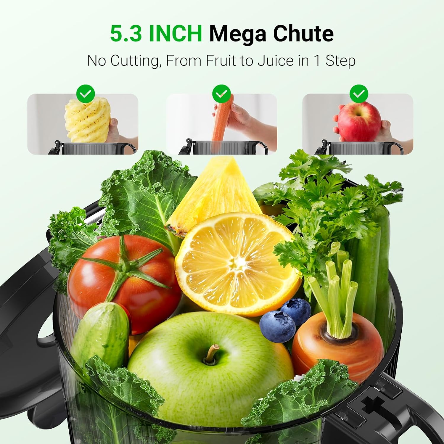 Detalle de Aeitto Cold Press Juicer with 5.3-Inch Feed Chute